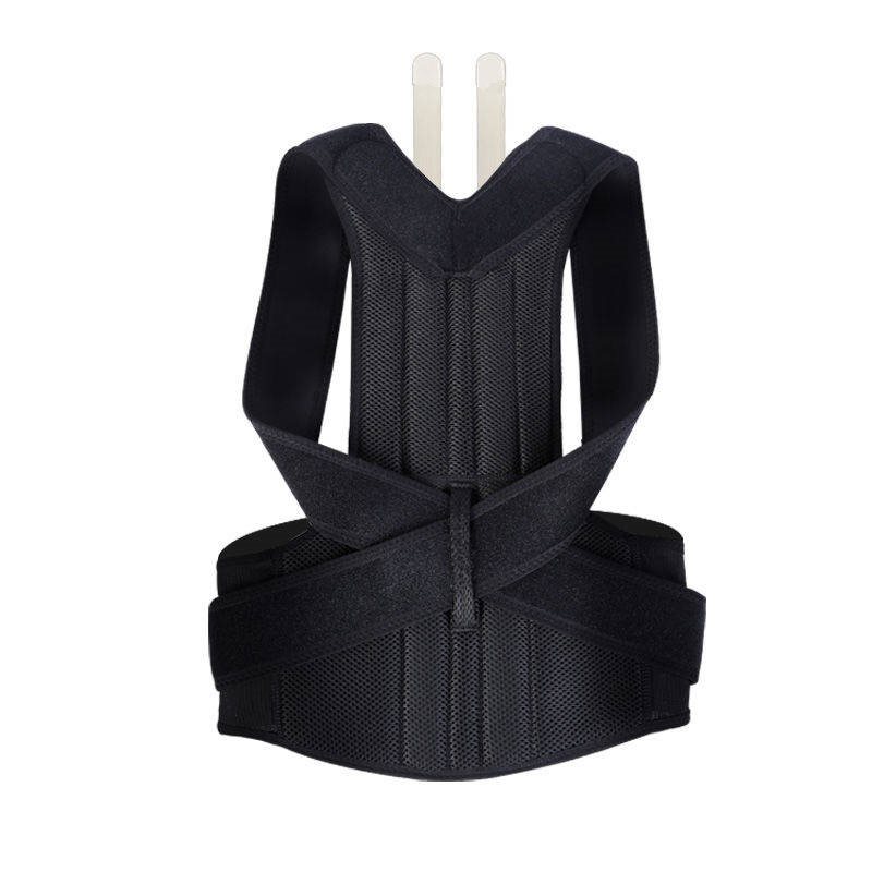 PosturePro - Ergonomic Back Support & Spine Alignment