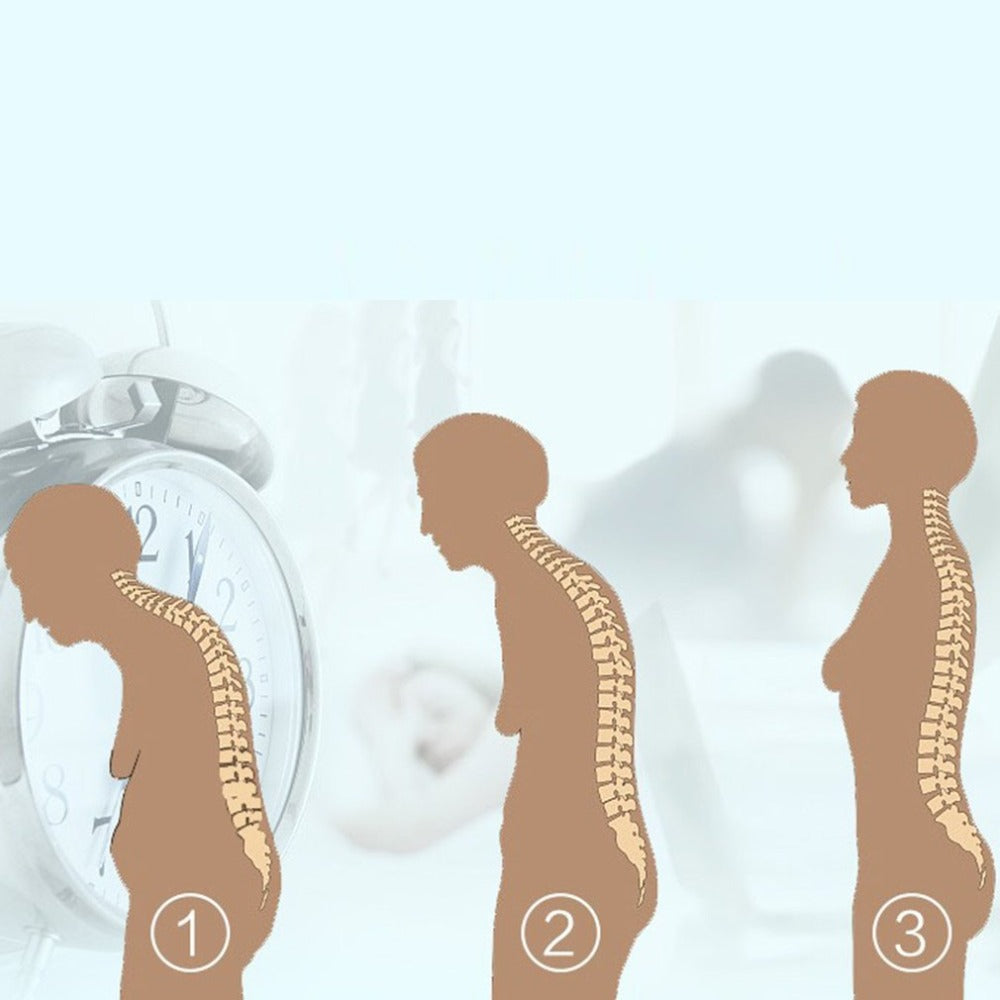 PosturePro - Ergonomic Back Support & Spine Alignment